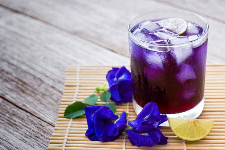 Blue tea from pea flowers / Full of health value
