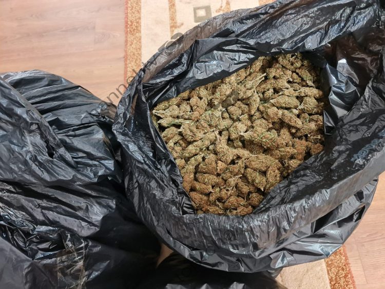 Exclusive / The bar house in Koplik of Shkodra, the images come from the environment where cannabis was grown