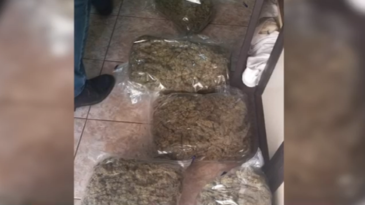 He was planting drugs on the land near his house, a 50-year-old man is arrested in Librazhd
