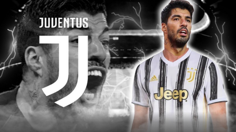 Cheated with the Italian exam, Suarez is offered to Juventus again