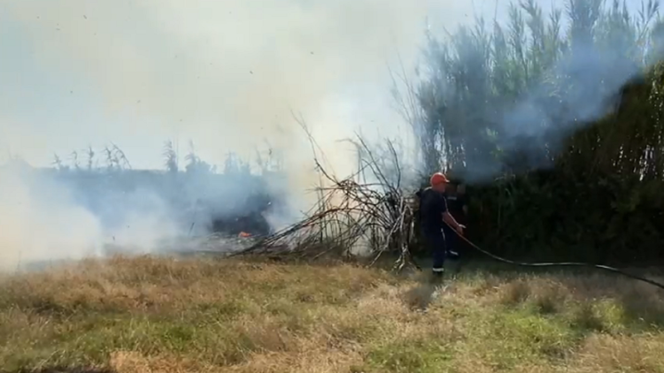 Shrubbed soil in Roskovec is affected by the fires, poultry and nearby houses are endangered