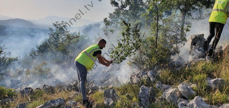 Big fire in Velipoja, the flames are “fought” with bushes (Images)
