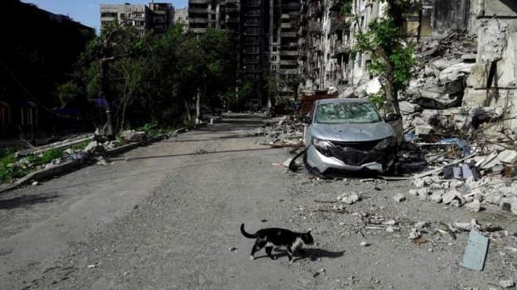 Decomposition of corpses / Cholera may soon “explode” in Mariupol, how can it be treated