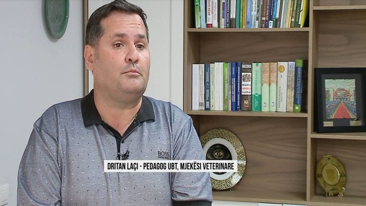 Treated animals like animals! Debate after recent cases at the zoo