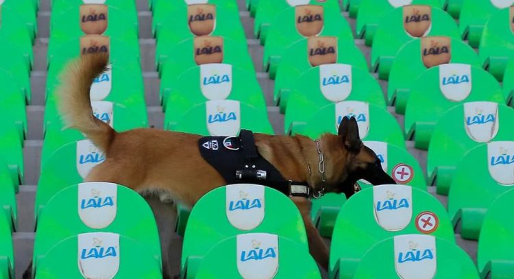 Unheard of! The La Liga club demands that dogs be allowed to “watch” matches in the stadium