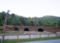 Photos / Animals you will see at the zoo, Tirana Zoo Park opens its doors to visitors