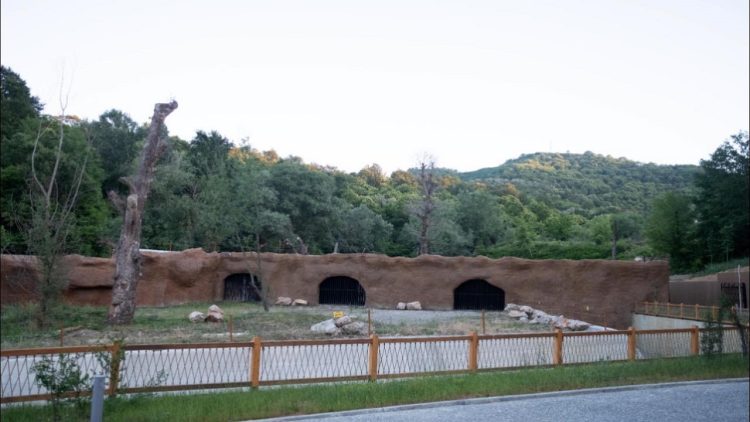 Photos / Animals you will see at the zoo, Tirana Zoo Park opens its doors to visitors