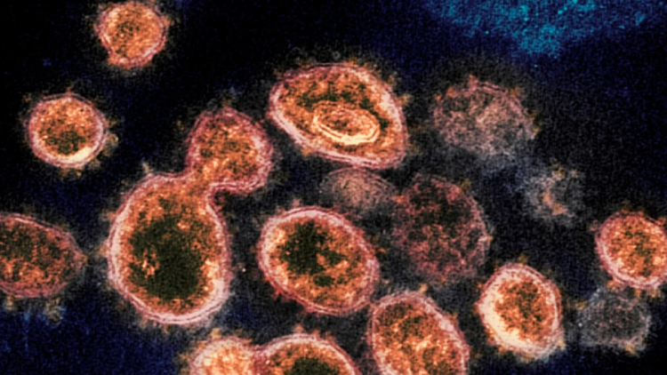 WHO: The unclear origin of COVID, to study the theory of laboratory flow