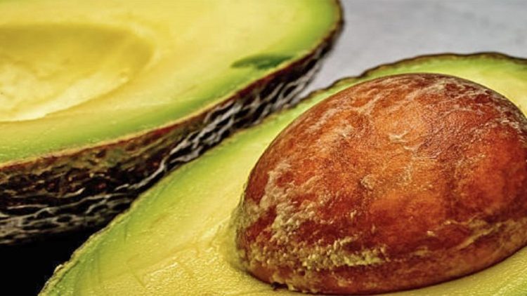 The most important vitamins and minerals for men / For a strong body and heart