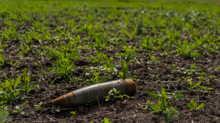 UN warns of growing chronic hunger over war in Ukraine