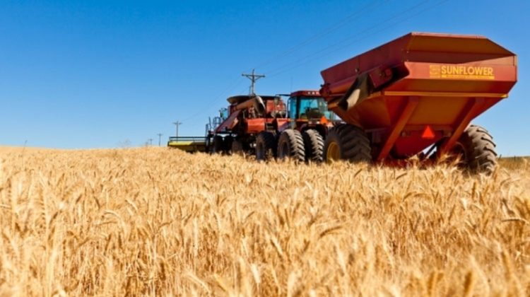 Ukraine, call on the UN: Help us get the grain out of the blocked ports!