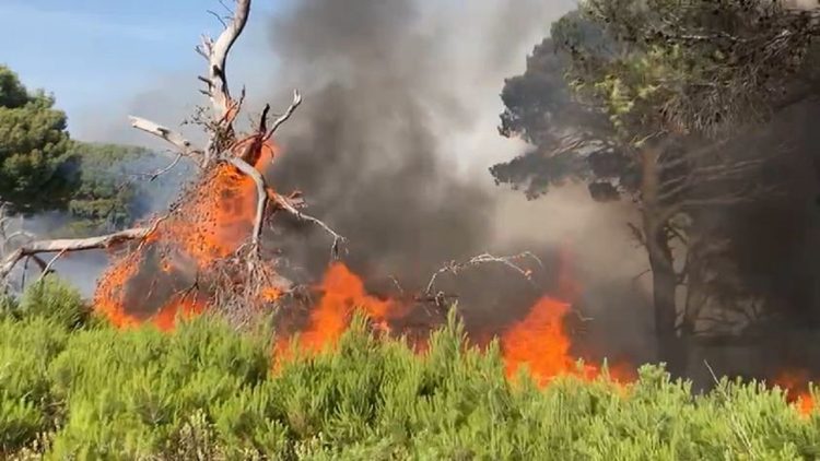 The fire is getting bigger on the island of Sazan, the cloud of smoke is visible from the city of Vlora