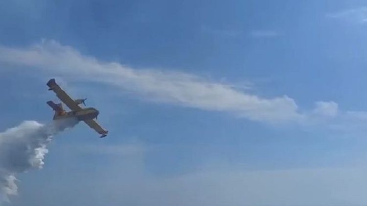Fires on the island of Sazan / The situation in the village of Elgjin is neutralized, where the houses were endangered