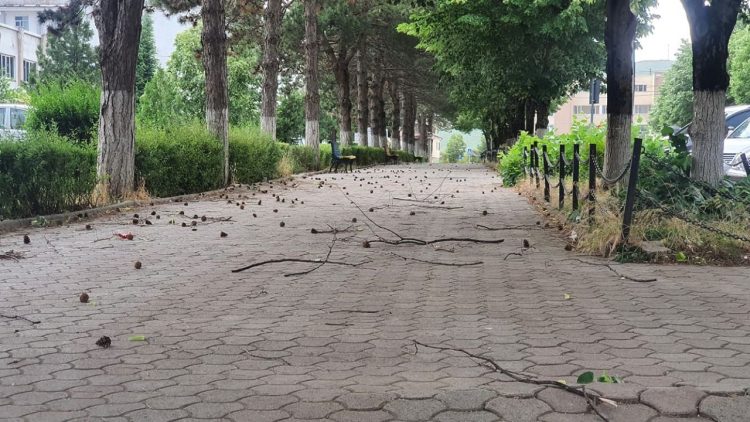 Kukes is covered by strong winds, some trees are broken