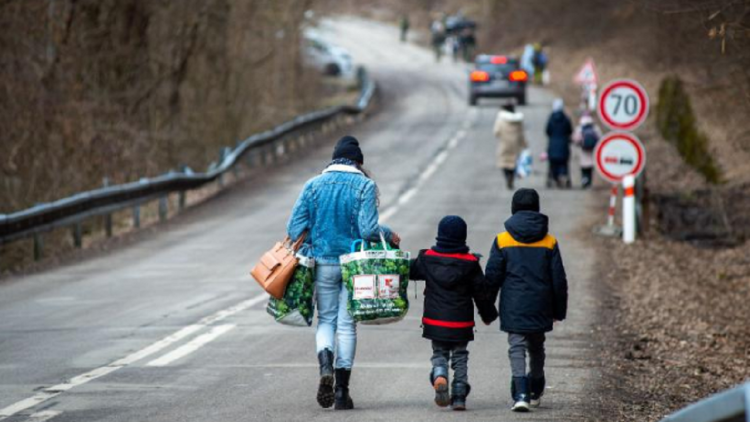 The number has always been growing / The frightening balance of displaced refugees is published all over the world
