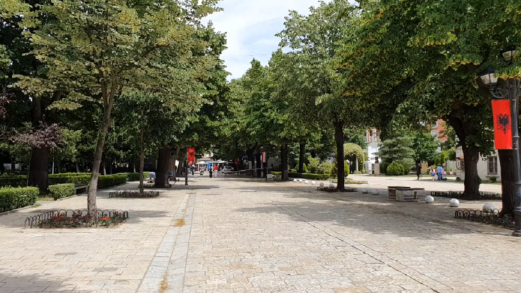 Accidents from the lime blossom in Shkodra / Roads are covered with flower nectar, dozens of people fall and are injured