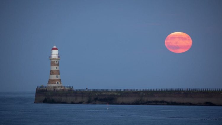 Photos / Strawberry Moon gives spectacle in the night sky, how the fascinating phenomenon appeared in different places
