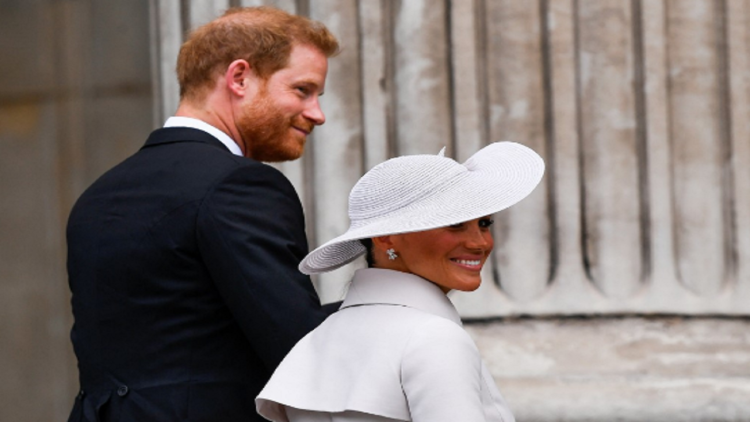“Is the royal ice melting?” / Megan and Harry part of the celebrations (Photos)