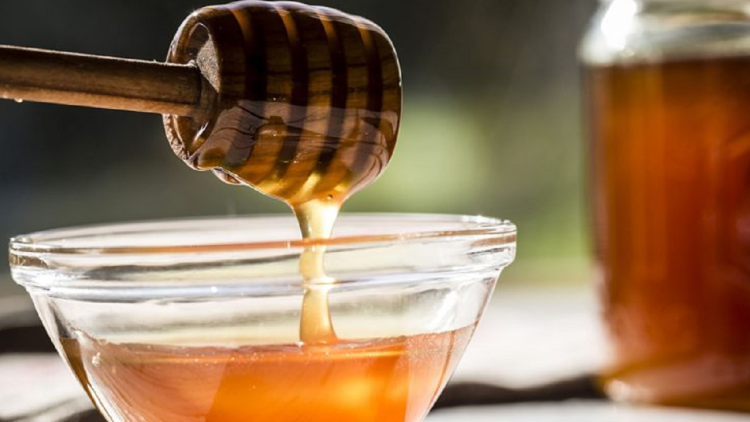 Longevity tree / Miracle oak honey