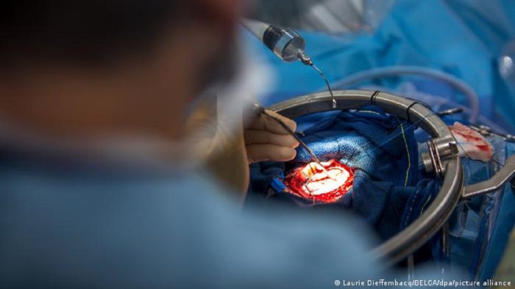 A beacon of hope for cancer patients