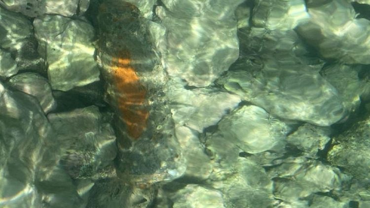 Shell instead of candle / Vacationers dive to the shores of Karaburun and find ammunition