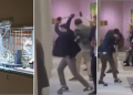 Unexplained hammer attack shocks visitors to famous Tefaf Fine Arts Fair in Netherlands (photos)