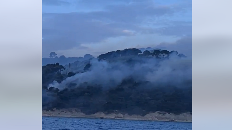 14 fires are neutralized on the island of Sazan