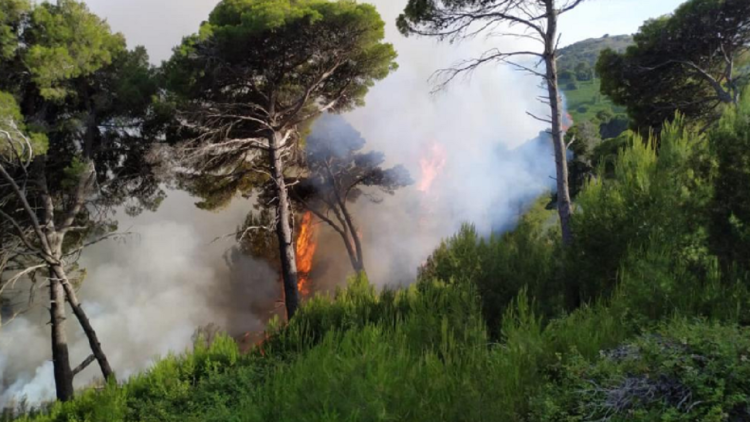Sazan Island on fire, terrain aggravates the situation (Views)