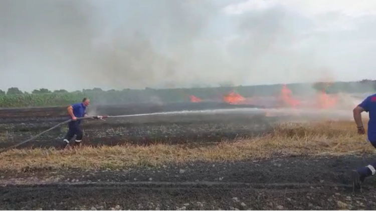 High temperatures cause fires in the district of Vlora