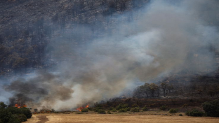 Massive fires “swallow” forests in Spain / Thousands of hectares of land are burned