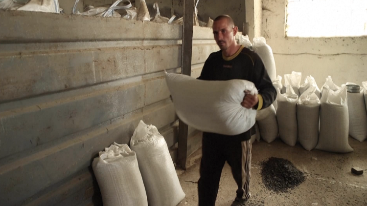 There is no wheat, farmers in Ukraine collect bombs