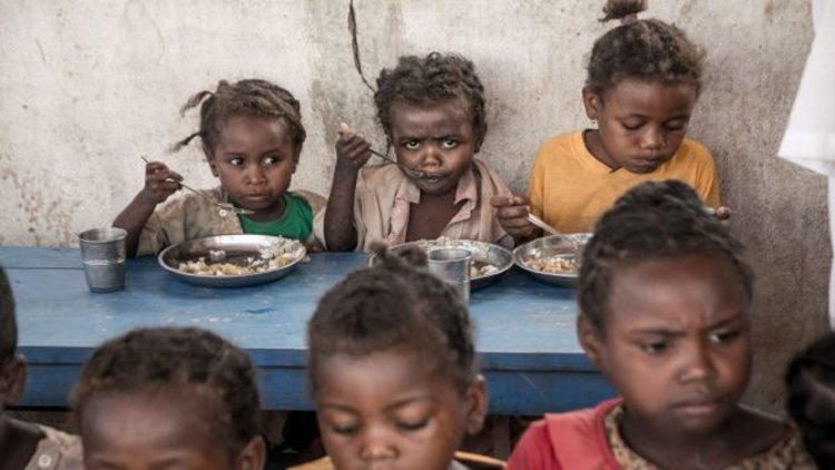 Hunger in Africa, Germany blames Putin