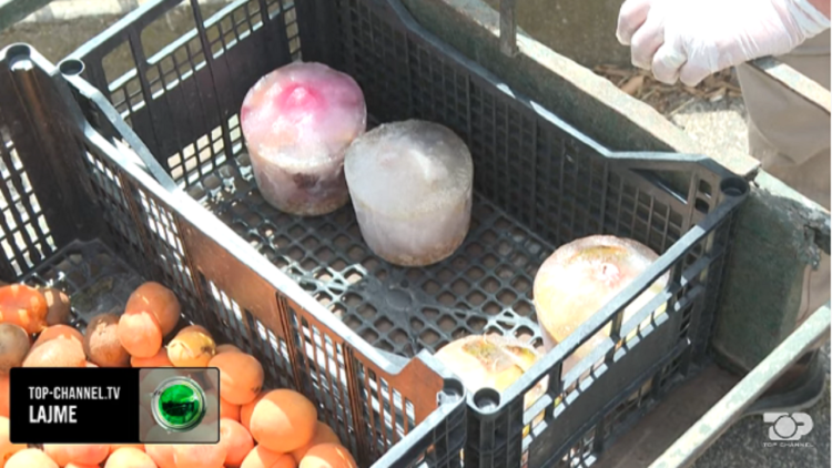 Rome, animals do not withstand the heat, they are thrown frozen food!