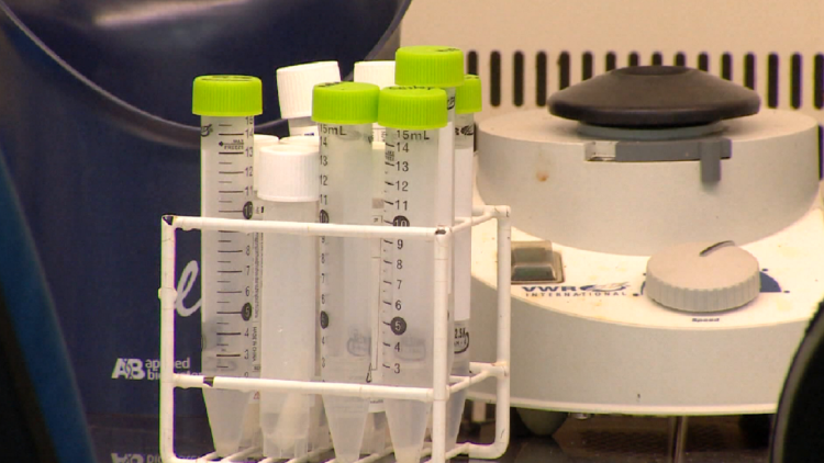 Monkeypox vaccine, Danes ready to meet global demand