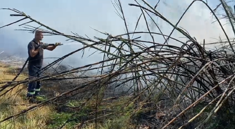 About 20 hectares of land are burned, the fire in Roskovec is neutralized