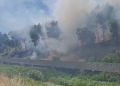 Fire in Rrogozhina, flames engulf the hill on the side of the main road