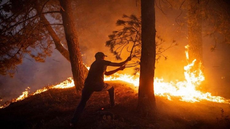 Are fires happening more often?  Heat wave, problematic in many countries