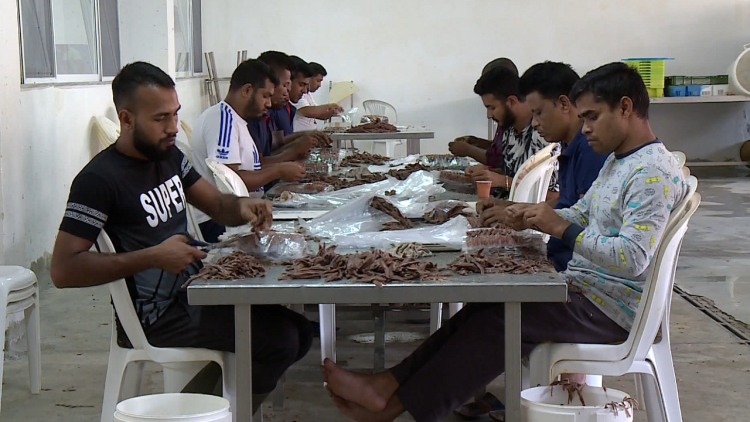 Fabricators, workers from Asia: For Bangladeshis, Albania, a springboard to escape to Europe”