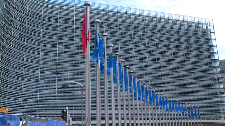 Central European states demand that Bosnia be granted candidate status