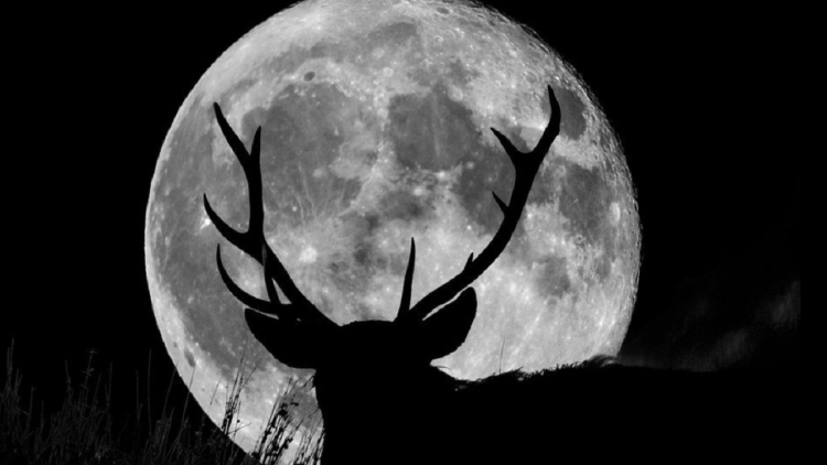 From the USA to Greece, the Deer Moon offers a spectacle in the night sky (Photo)
