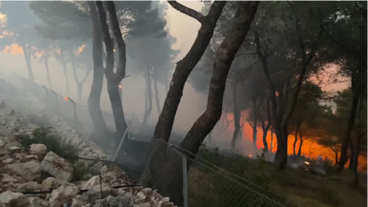 Fires in the country/Five counties engulfed in flames, the most difficult situation in Lezha