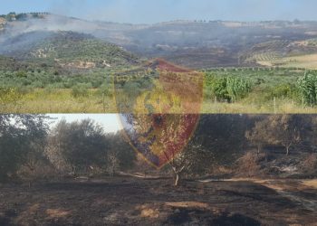 He set fire to his land and burned the olive trees of his neighbors, he is under investigation