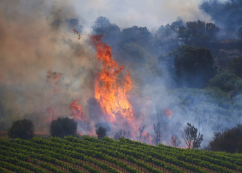 The situation with the fires in the country/ 18 fires were reported in 24 hours, 5 of them continue to be active
