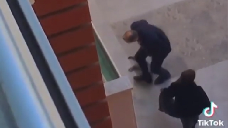 The cat killer is caught and punished! Police discovered it from security cameras