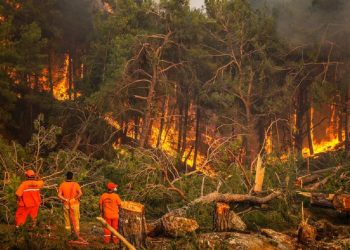 Fires in Europe, in 8 days four member states ask for EU help!