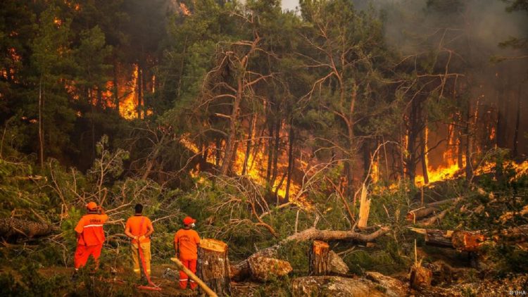 Fires in Europe, in 8 days four member states ask for EU help!