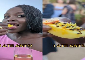 Video/ Mexican actress eats fruits sprinkled with ants: They are really delicious