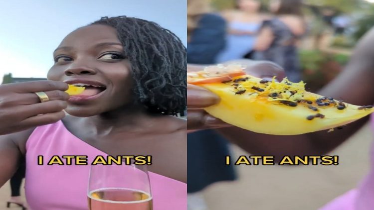 Video/ Mexican actress eats fruits sprinkled with ants: They are really delicious