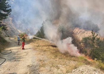 Six active outbreaks in the country, the most problematic fire in Mirdita
