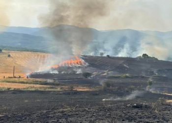 Kosovo does not “save” the fires!  The flames engulf the north of the country